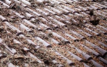 Cwmfelin Mynach roof cleaning companies