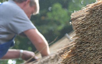 professional Cwmfelin Mynach thatchers